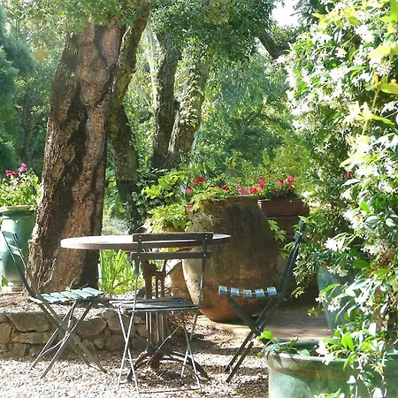 Le Bastidon Saint-Michel-2